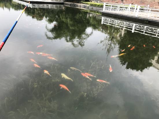 说明: 微信图片_20210903143529_副本.jpg