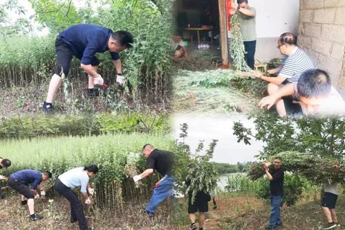 说明: 微信图片_20230625114943